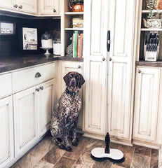 SKYMEN Trapeador eléctrico giratorio inalámbrico, limpiador y pulidor de pisos de madera para pisos duros y baldosas