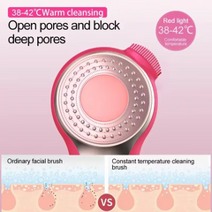 Gesichtsreinigungsbürste